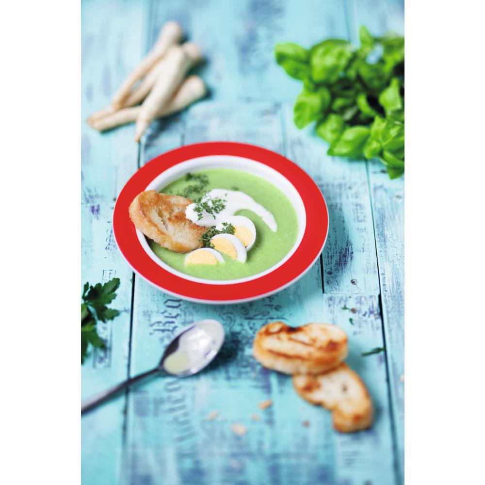 MODELL 921 - VITAL Teller, Menü- Ø 27 x 3 cm - Rand Rot (SAN-Kunststoff)