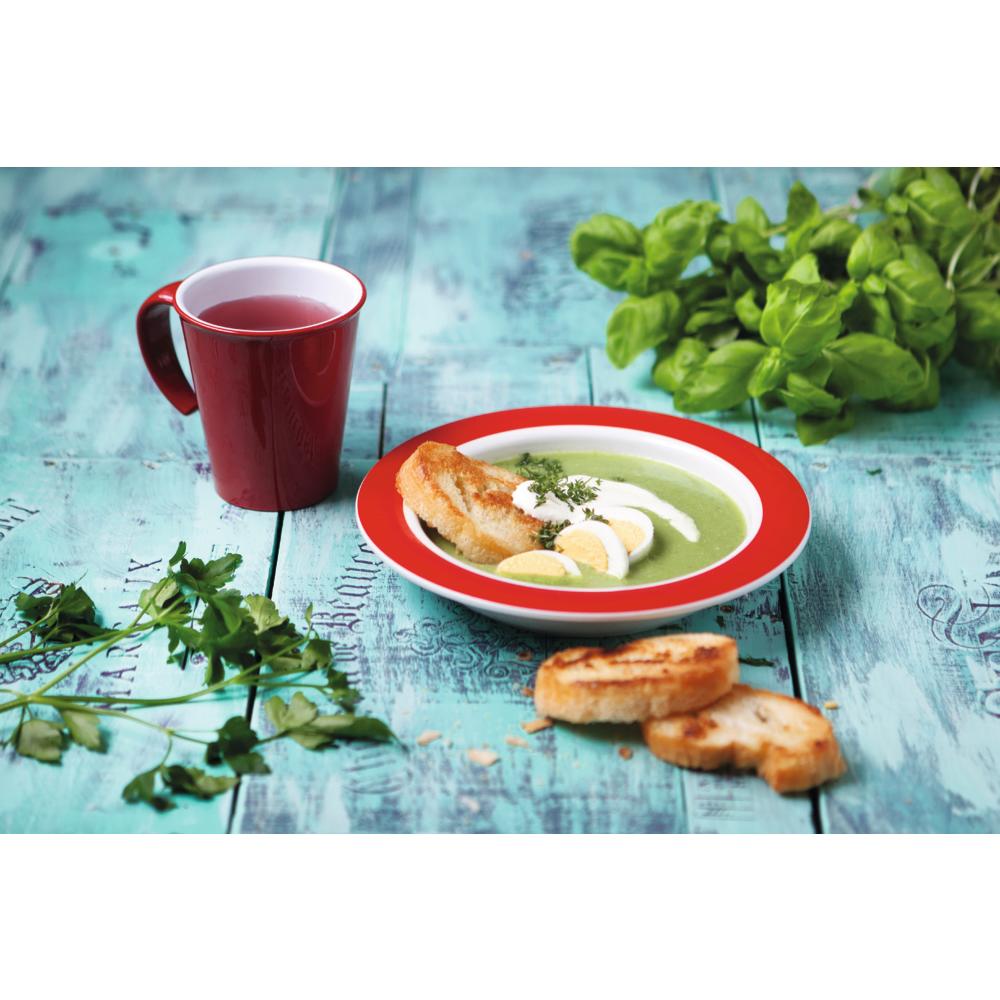 MODELL 921 - VITAL Teller, Menü- Ø 27 x 3 cm - Rand Rot (SAN-Kunststoff)