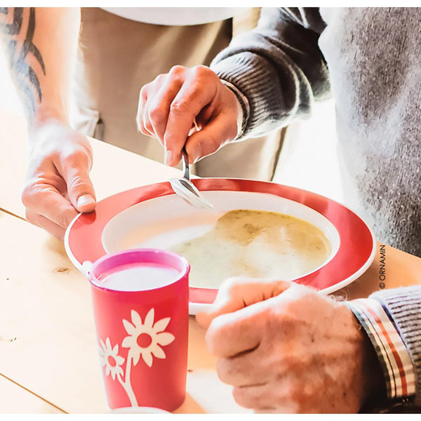 MODELL 921 - VITAL Teller, Menü- Ø 27 x 3 cm - Rand Rot (SAN-Kunststoff)