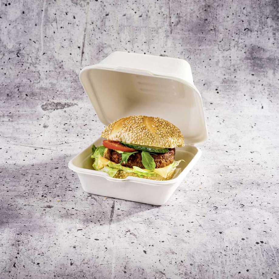 GREENHORN Zuckerrohr-Klappdeckel-Behälter 25 x 16,5 x 6,1 cm, 2 Kammern (50 Stück)