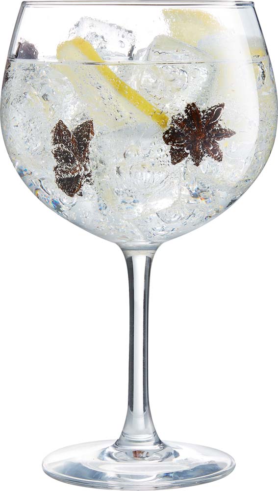 VIN Gin Tonic Kelch - 70 cl (Ø 11,6 x 19,3 cm) - ungeeicht