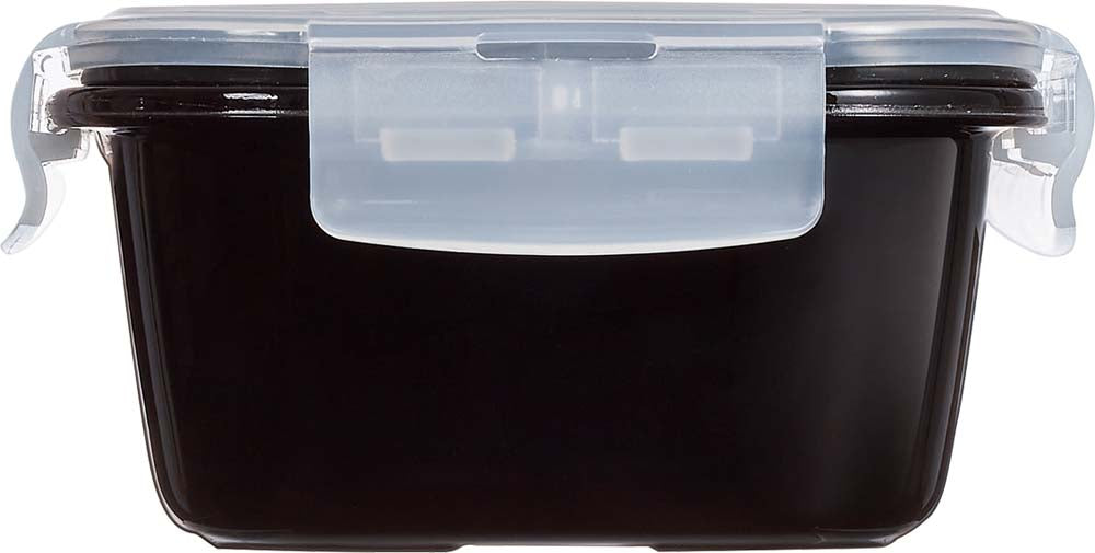 ACTIVE Box Black 19 x 14 x 7 cm - Inhalt 0,82 L