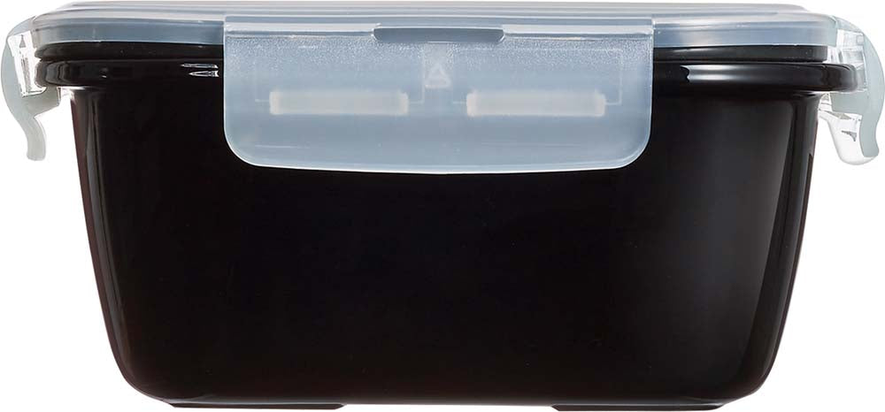 ACTIVE Box Black 21,5 x 16 x 7,5 cm - Inhalt 1,22 l